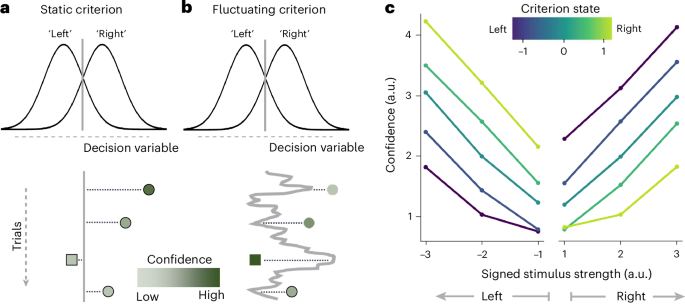 Trial-by-trial fluctuations in decision criterion shape confidence