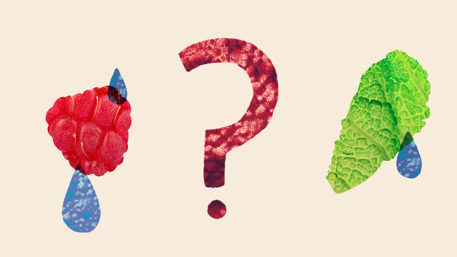 Who's most at risk in the cyclospora outbreak?