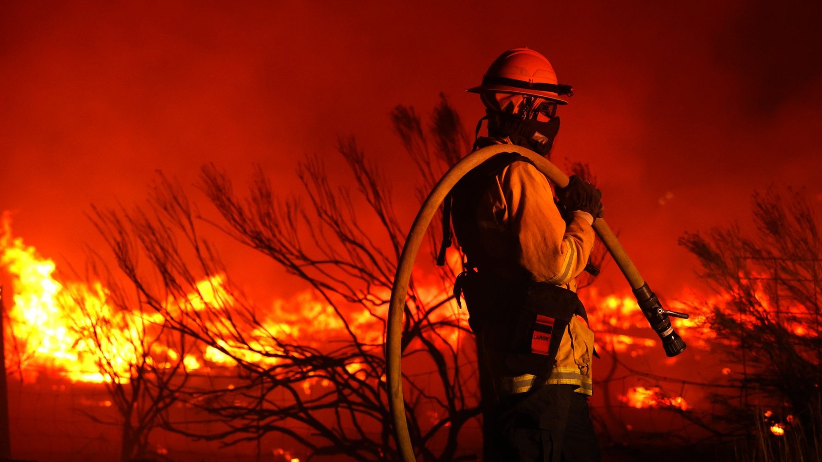 America is losing its war against wildfire