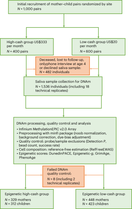 Effects of a randomized controlled trial of unconditional cash transfers on epigenetic measures of ageing and cognition in children and mothers