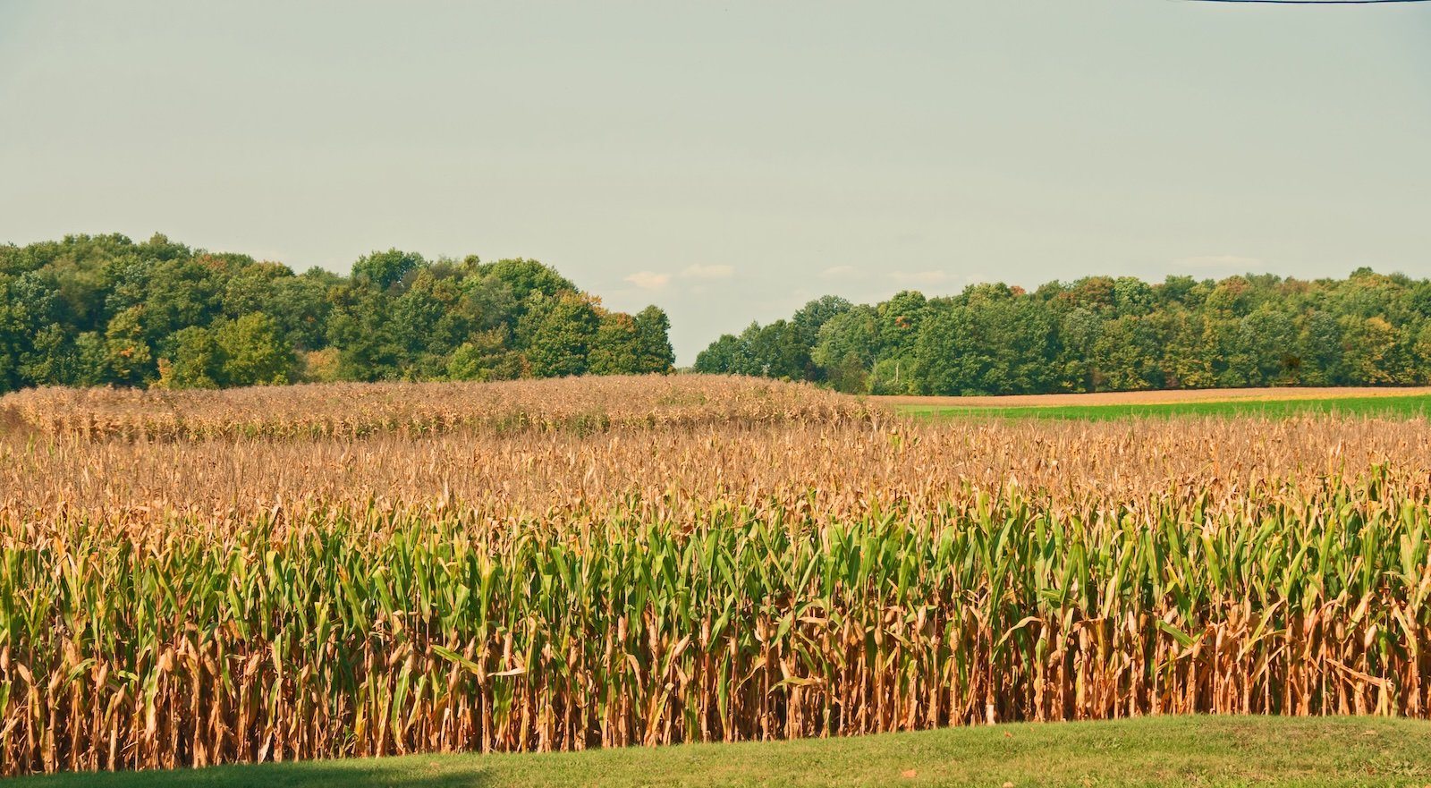 Family farms increasingly face selling their land, or trying to conserve it
