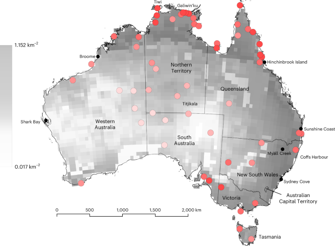 Large estimated size of the Australian Indigenous population before its extensive decline following colonial invasion