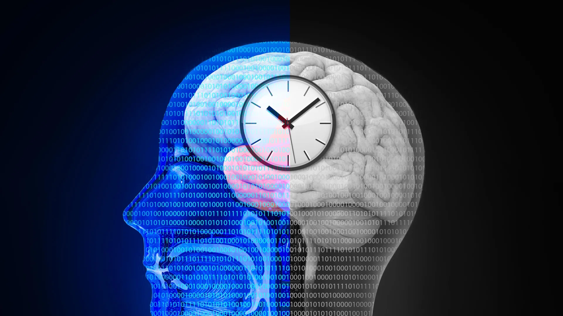 Resetting the body clock could help the brain recover after stroke