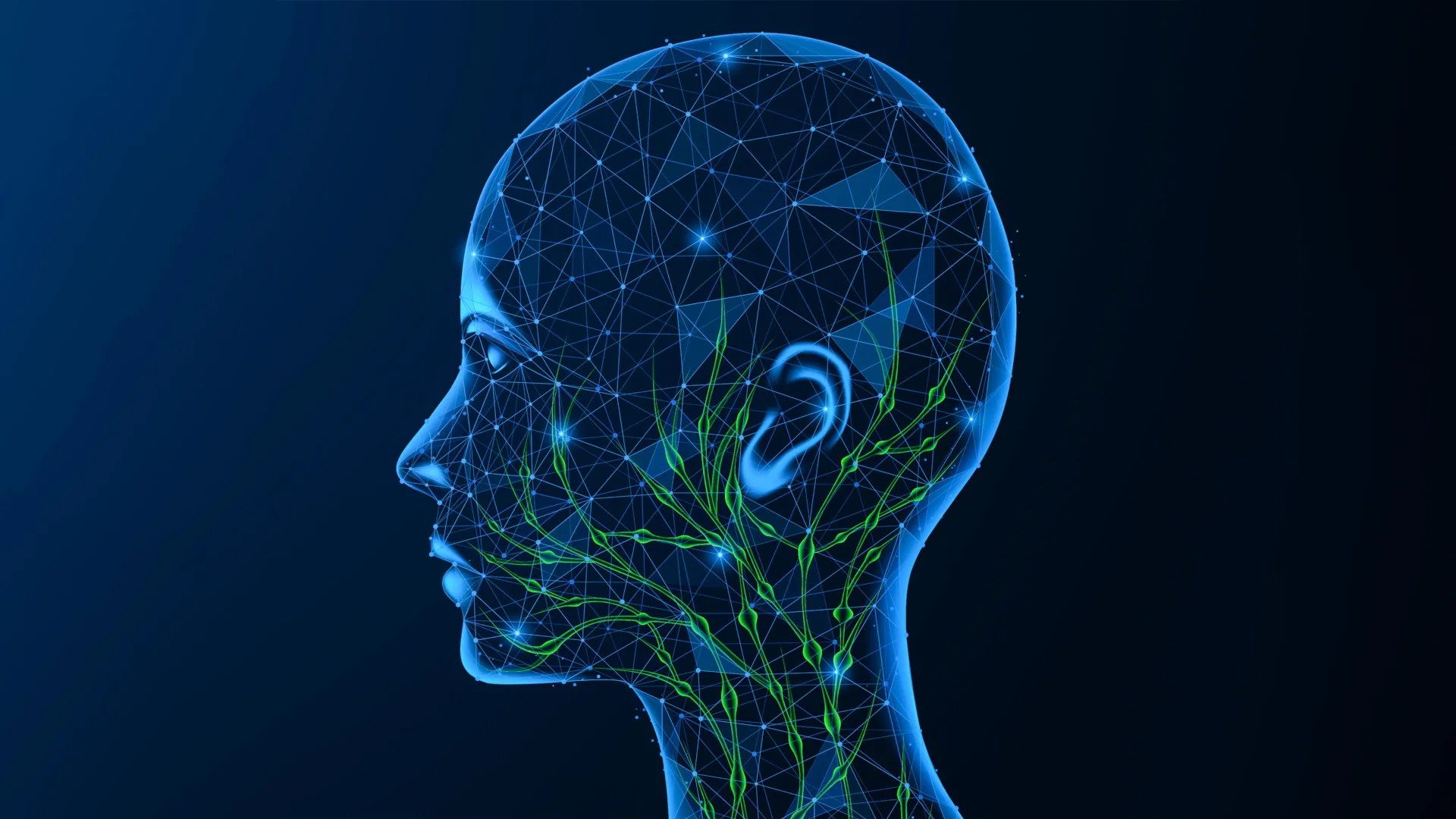 Scientists found a surprising driver of Alzheimer’s outside the brain