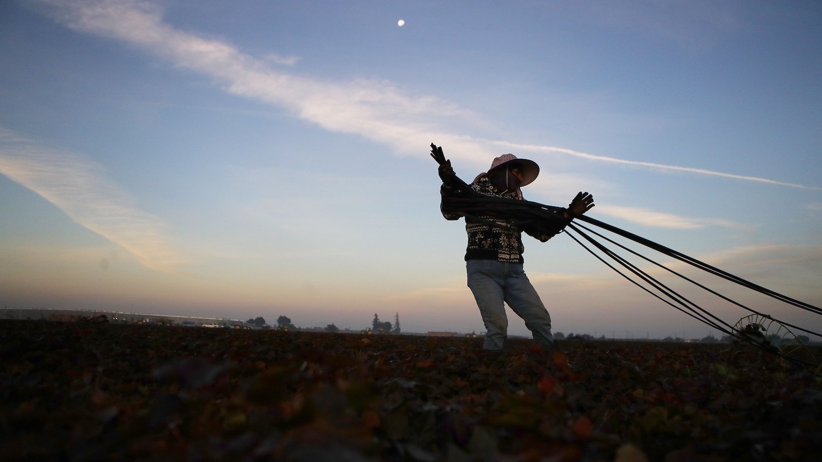 From the farm to your door: How our global food system exploits workers