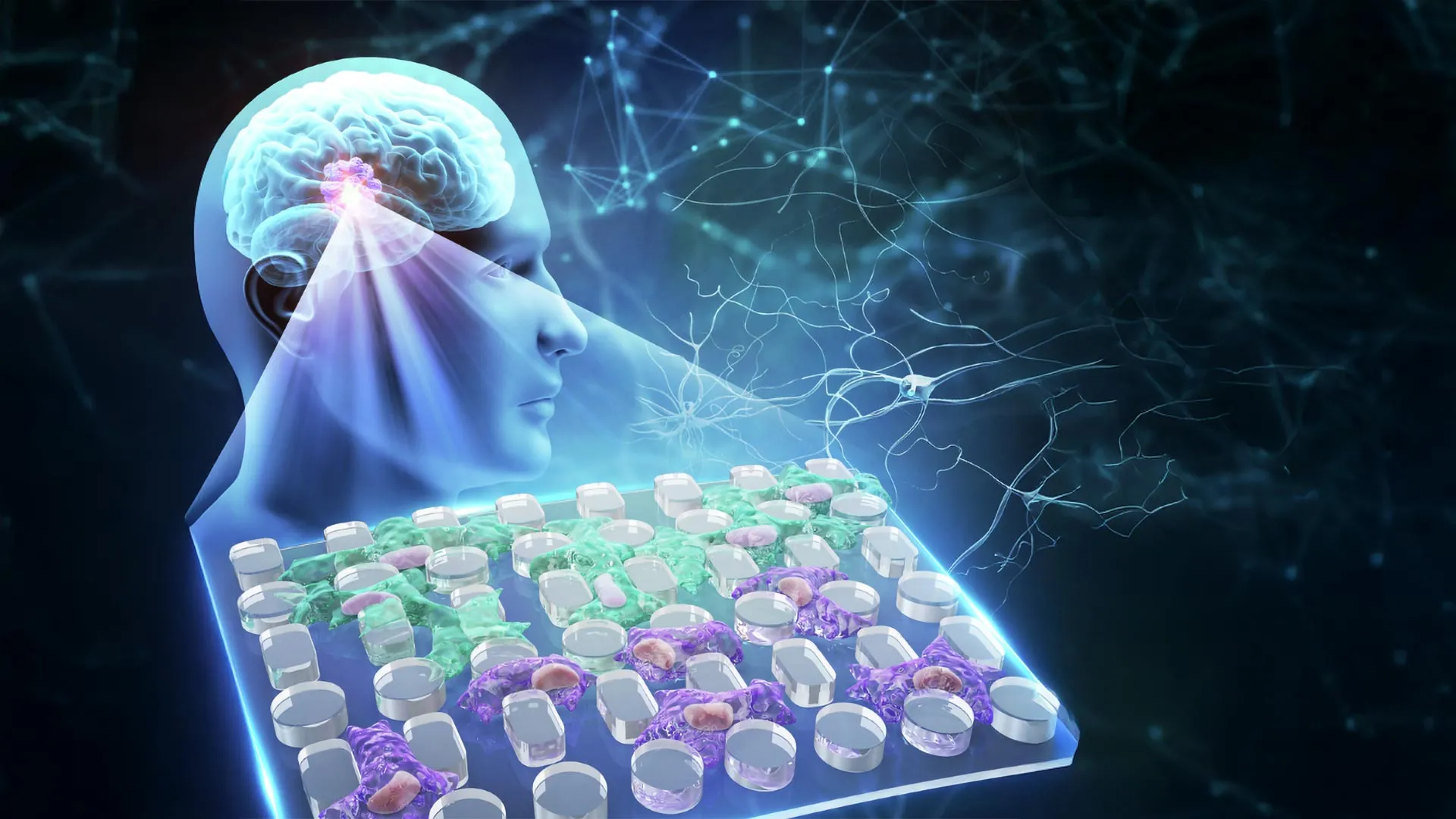 Glioblastoma breakthrough reveals how brain cancer cells become more aggressive