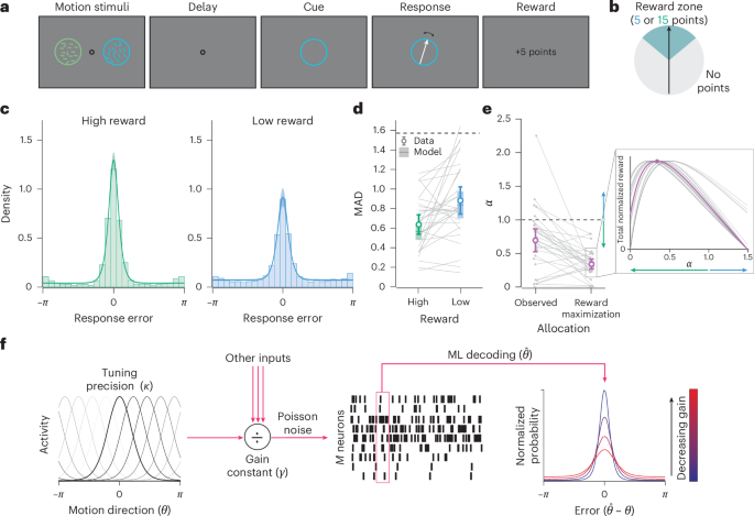 Intrinsic rewards guide visual resource allocation via reinforcement learning